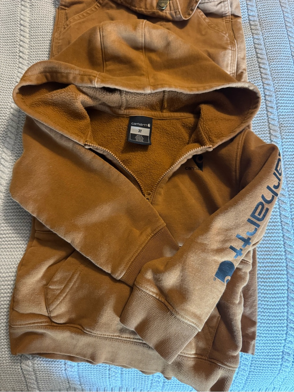 Carhartt Kids Hooded Sweatshirt in Brown